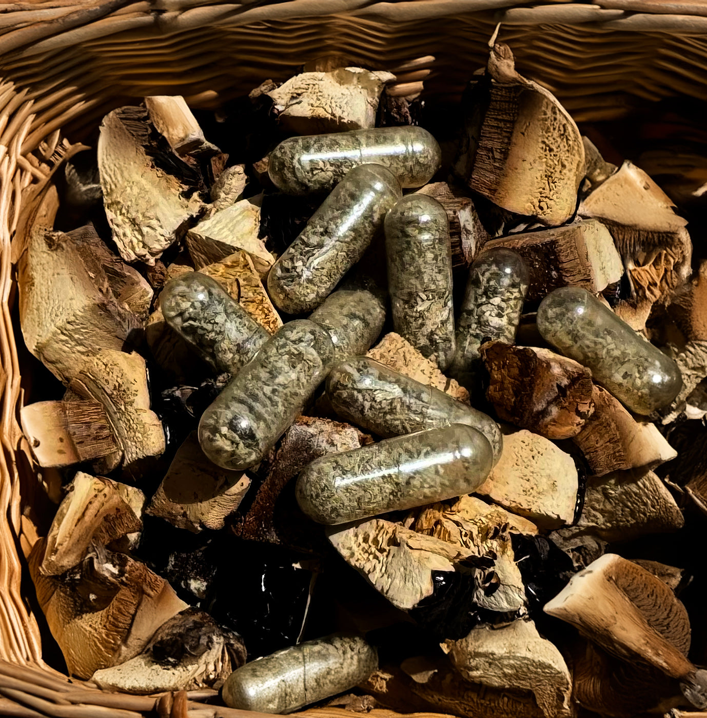 Once-a-Day Mushroom Supplement, 2 Week Cycle