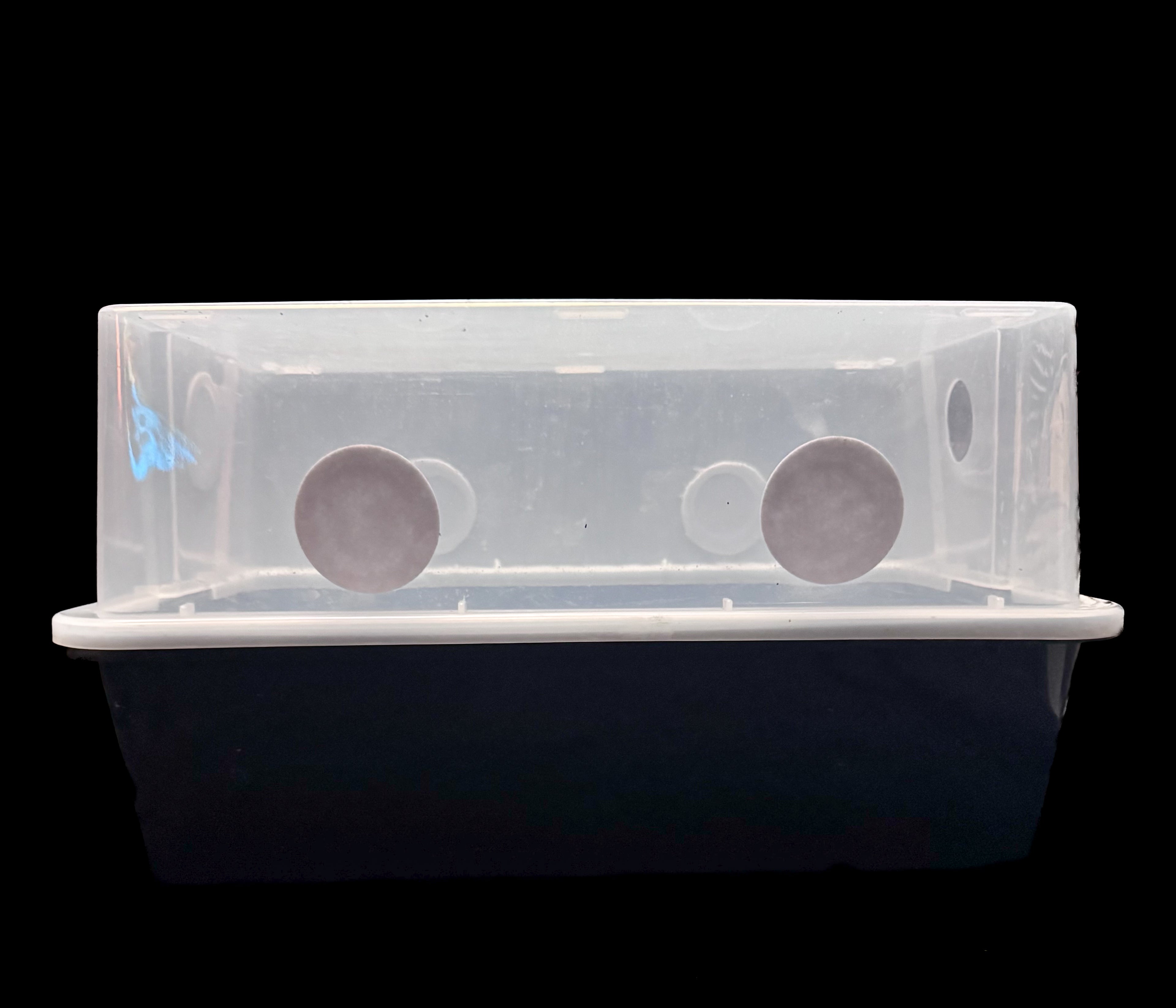 All-In-One Cultivation Kit — Monotub + Manure Substrate + Grain Spawn