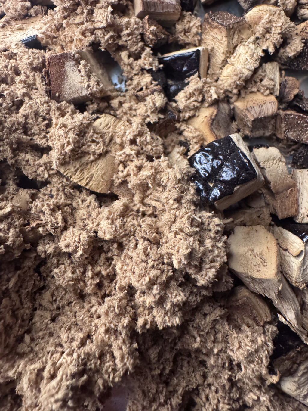 Reishi - Powdered- 5 Grams (50 Servings)