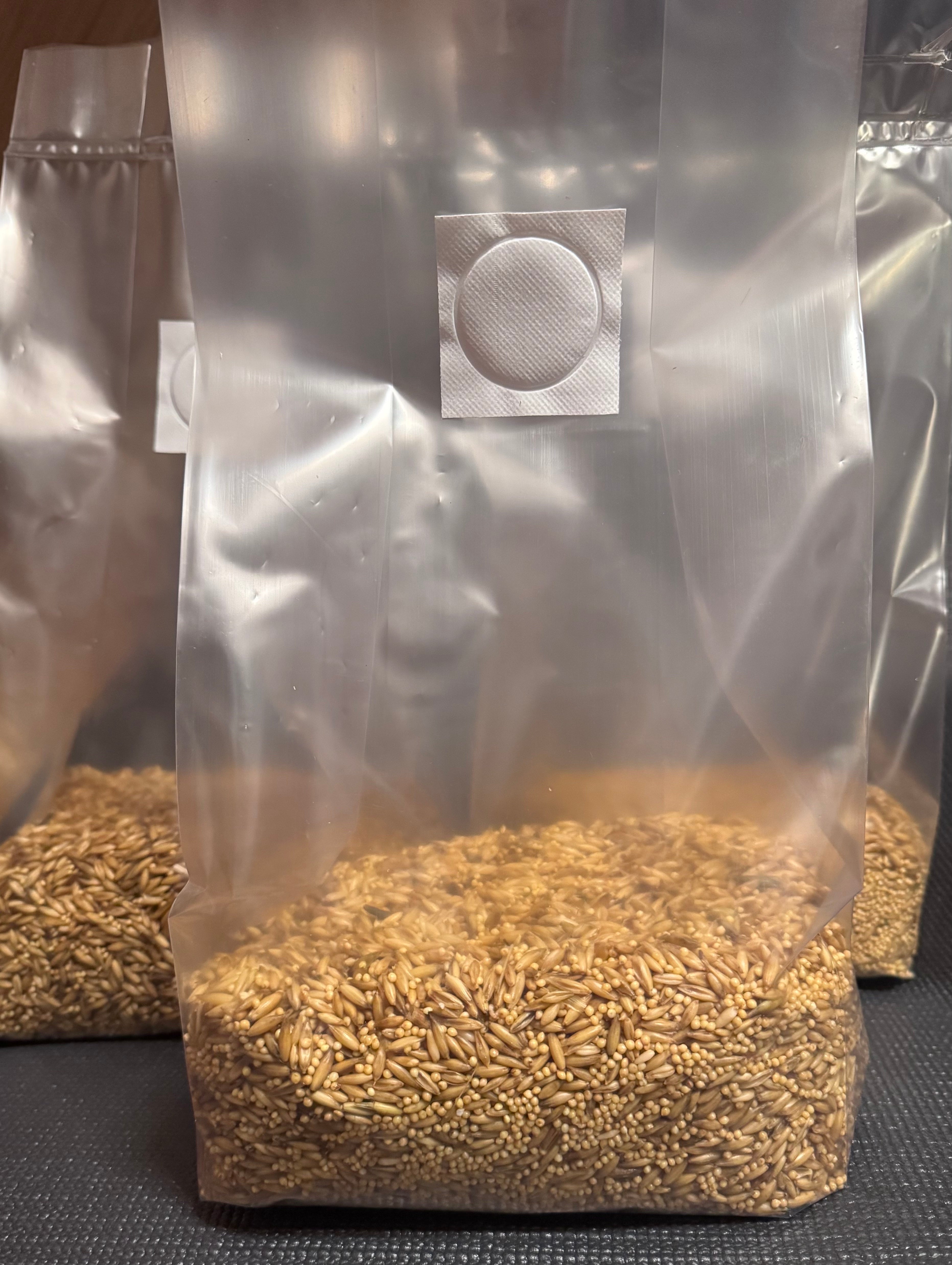 Nexus Labs - 3lb Grain Spawn Bags - Sterilized for Dung Loving Mushrooms