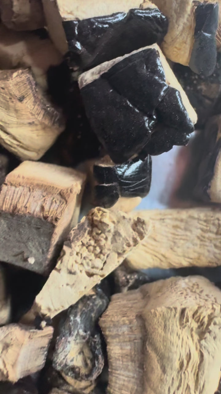 Reishi - Powdered- 5 Grams (50 Servings)